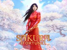 Sakura Fortune kostenlos spielen